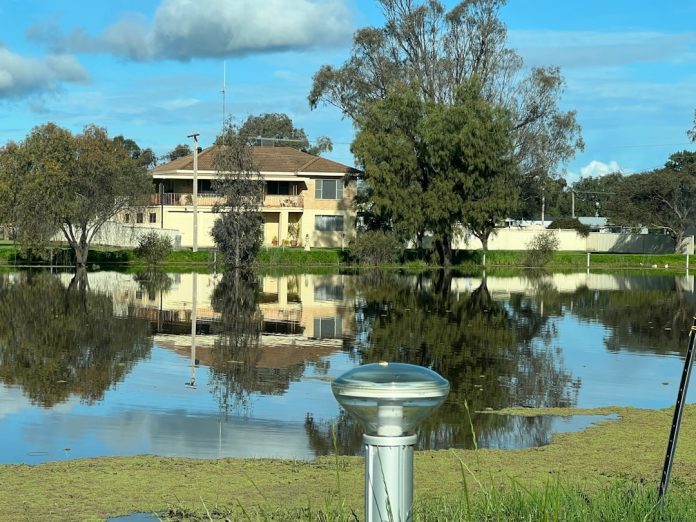 Photo Forbes Magazine